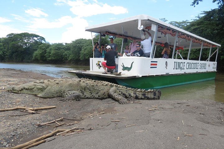 Jungle Krokodillen Safari : Tarcoles River Krokodillentocht