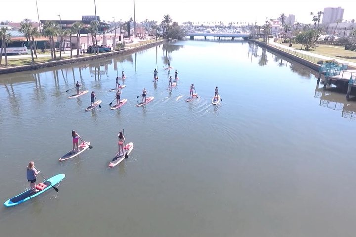 Daytona Beach Delfin & Seekühe Tour – Paddleboard oder Kajak