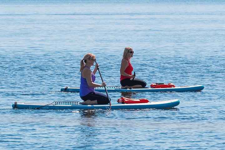 Daytona Beach Delfin & Seekühe Tour – Paddleboard oder Kajak
