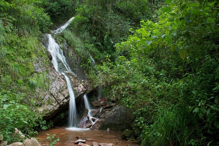 Tour di mezza giornata di Yungas da Tucuman