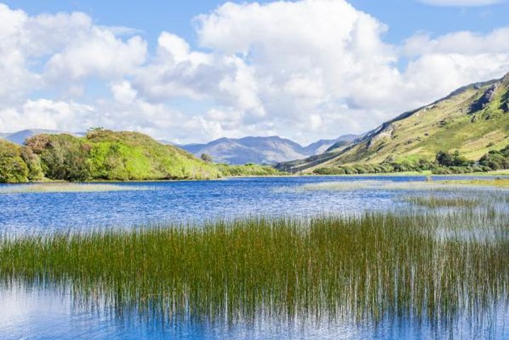 Hoteller i nærheden af Connemara, Cong & Kylemore Abbey Tour