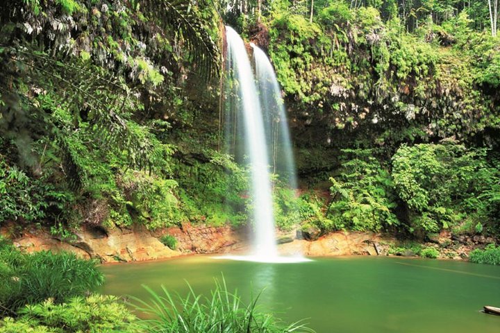Excursion d'une demi-journée au parc national de Lambir Hills depuis Miri