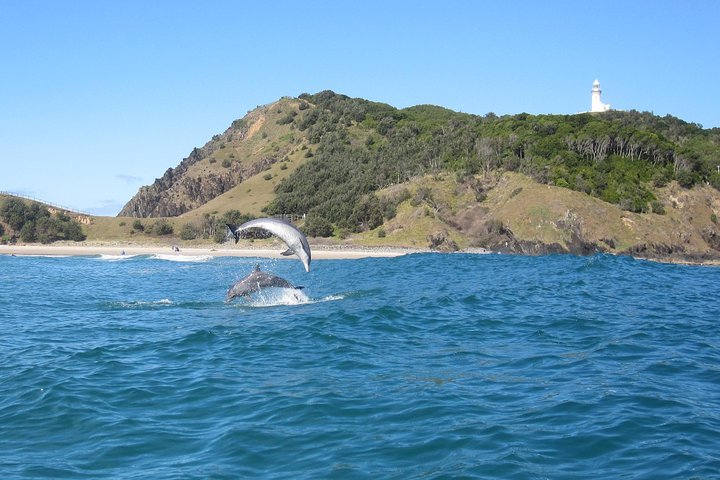 Kayak avec dauphins à Byron Bay Visite guidée