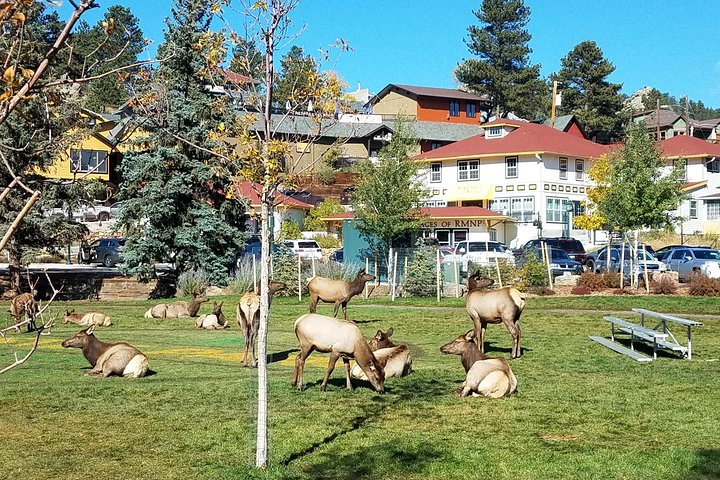 Rocky Mountain National Park i sommertur fra Denver