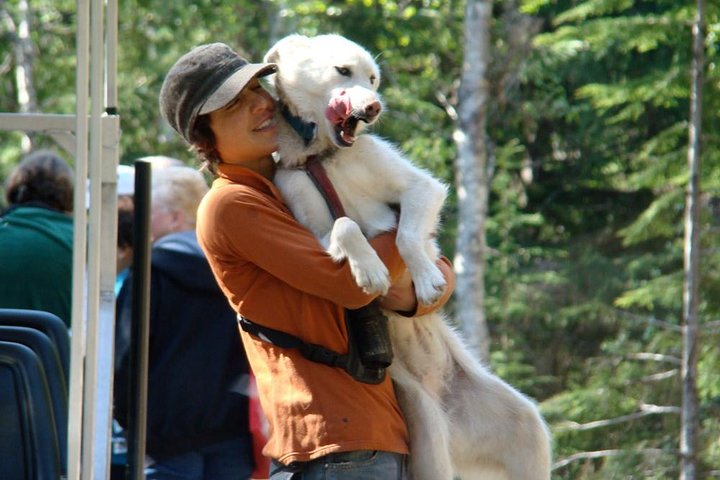 Aventura de perros en trineo y campamento de Musher en Skagway