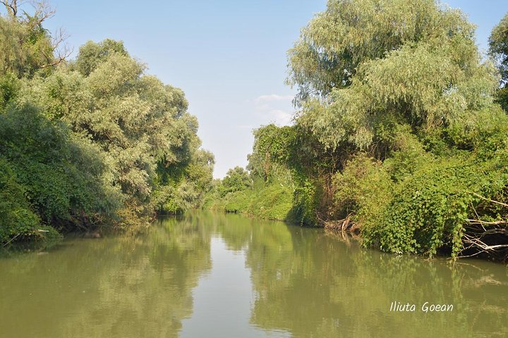 Delta del Danubio PRIVADO viaje en barco a Mila23 Village (visita guiada)