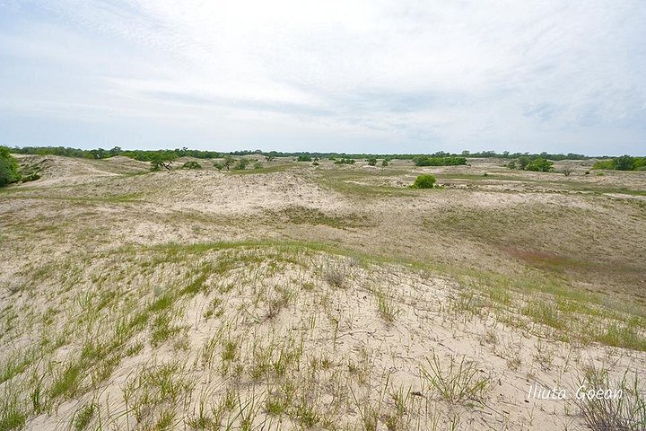 Delta del Danubio Gita in barca privata alla foresta di Letea (visita guidata)