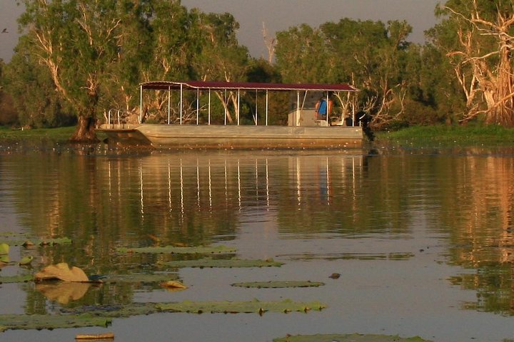 Découverte d'une journée dans les zones humides du Corroboree Billabong, avec une croisière de 2 heures et demie et un déjeuner