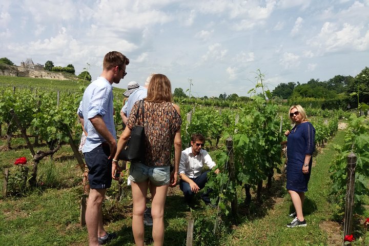 Visite du vin de Saint Emilion Dégustation Demi-journée au départ de Bordeaux