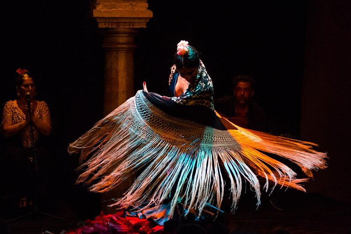 Séville : Puro Flamenco Show - Museo del Baile Flamenco