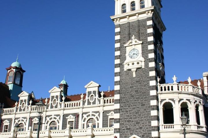 Dunedin Shore Excursion: Små Gruppetur på Dunedin og Otago-halvøya