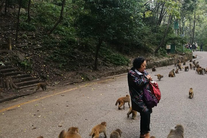 Tour privato di Guiyang, tra cui Qingyan Ancient Town e Qianling Park