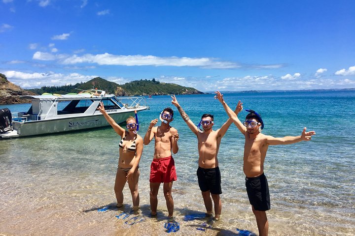 Hole in the Rock Cruise & Island Tour - con due scali sull'isola