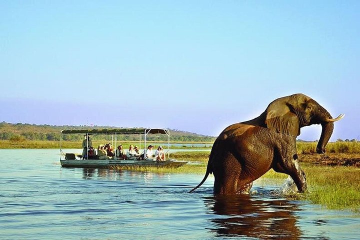 9 dias e 8 noites ao redor do Zimbábue Safari Plus - excursão de um dia a Chobe (botsuana)