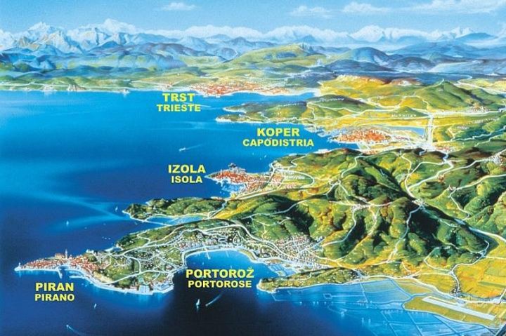 Piran og den naturskjønne slovenske kysten - Privat tur fra Trieste
