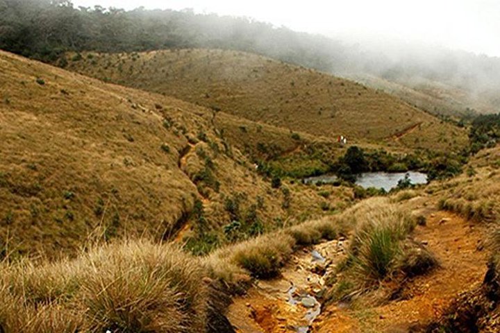 Tour naar Horton Plains en World 's End vanuit Nuwaraeliya