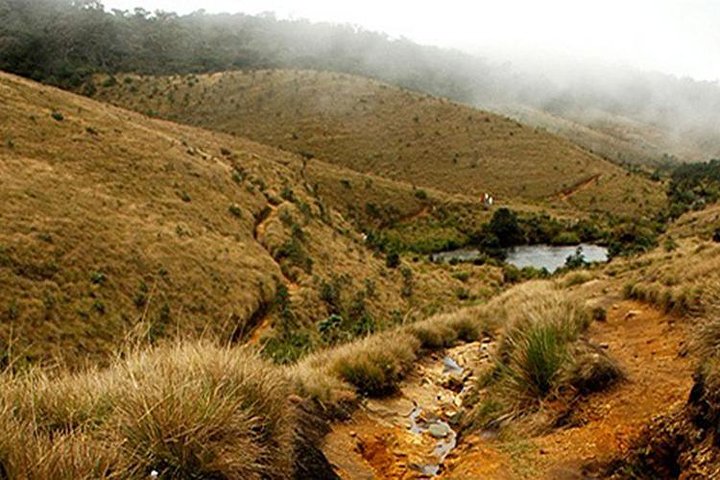 Tour de Horton Plains-World's End y Tea Factory desde Nuwaraeliya