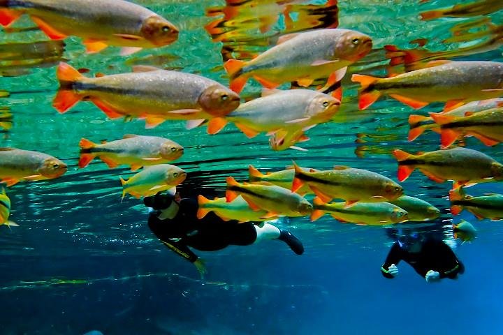 Ohne Anstehen: Recanto Ecologico Rio da Prata Ticket inklusive Trail & Schnorcheln