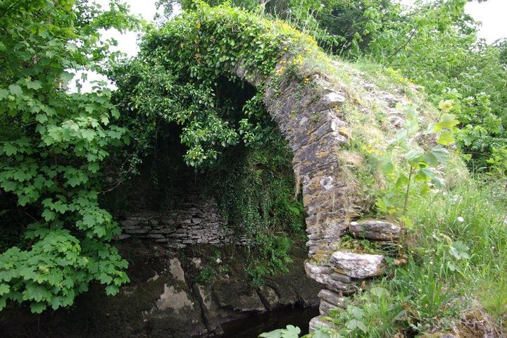 Privat tur: Ring of Kerry, Kerry klippene fra Kenmare, Sneem etc.