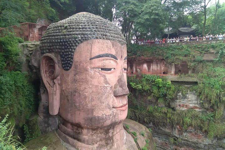 All-inclusive privétrip naar Chengdu Giant Panda Base en Leshan Giant Buddha