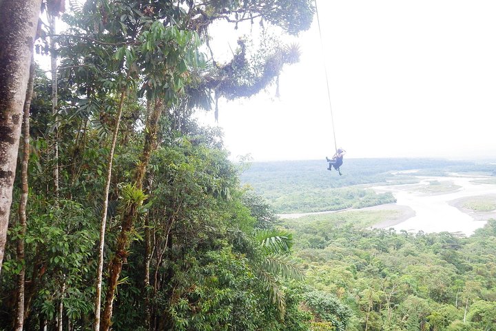 Amazon Tour no Equador: Viagem de um dia a Puyo saindo de Baños