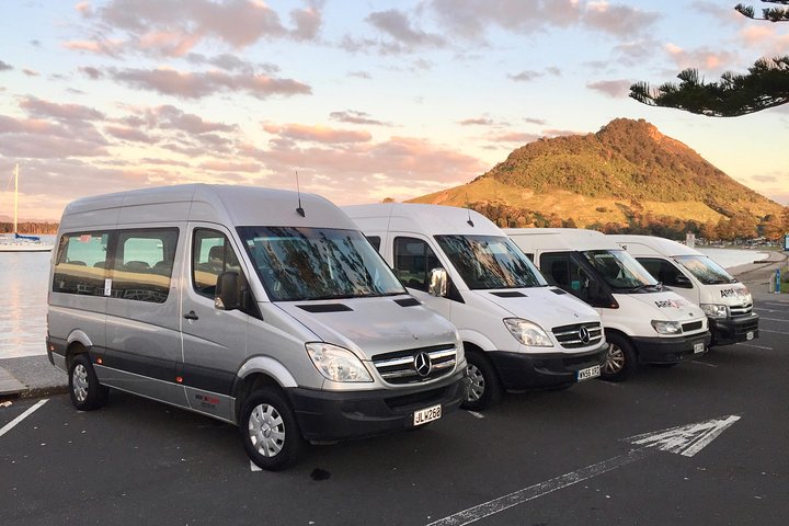 Rotorua via Kiwi/sjøland og et besøk til ikoniske Whakarewarewa