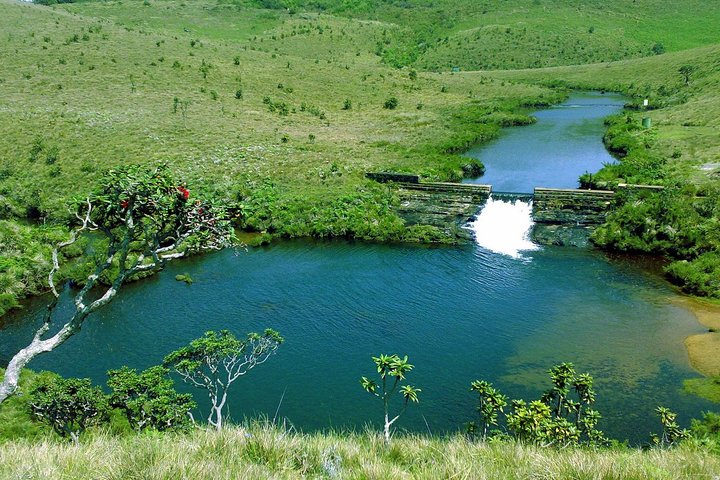Nuwara Eliya : All Inclusive Horton Plains och teplockning Dagstur