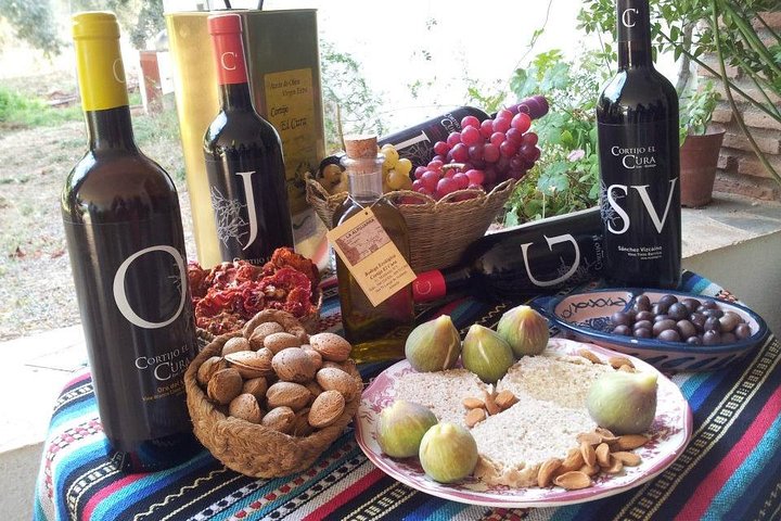 Almería Vintur, provsmakning i Bio Winery och aperitif på engelska