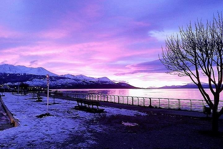 Tour de 5 horas pelo Parque Nacional + Cidade - USHUAIA (Tour Privado)
