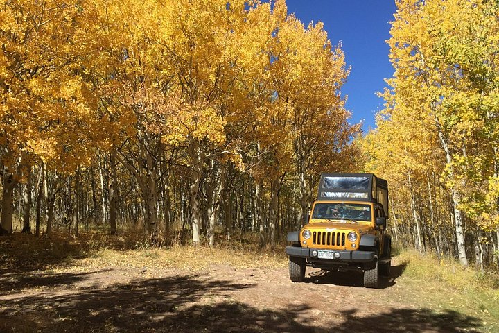 Tour in jeep della Gold Belt Scenic Byway da Cañon City