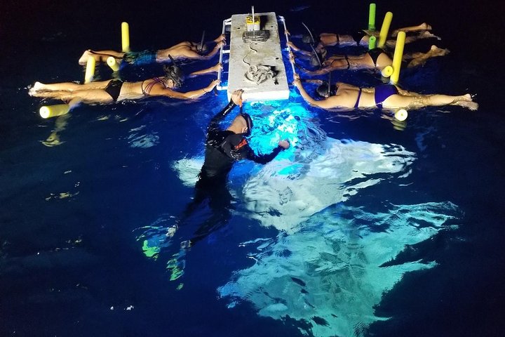 KONA Manta Ray Night Snorkel - GRATIS omkörning om inga iakttagelser