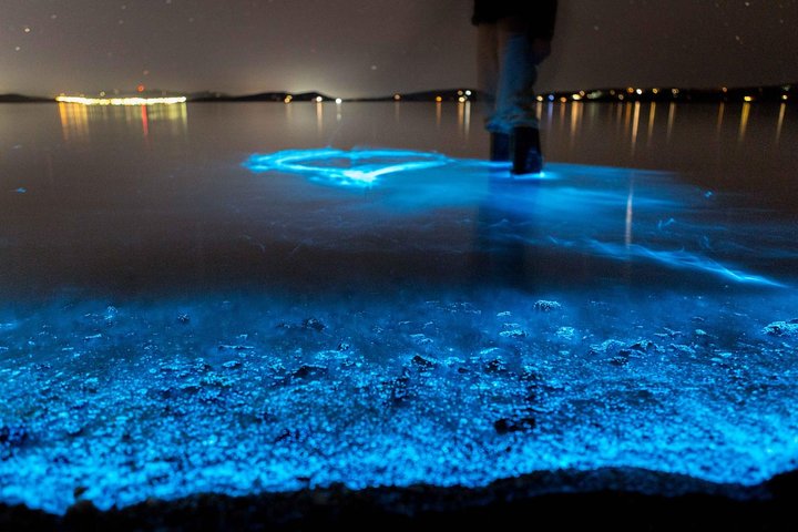 Florida Bioluminescentie Kajaktocht (Titusville)