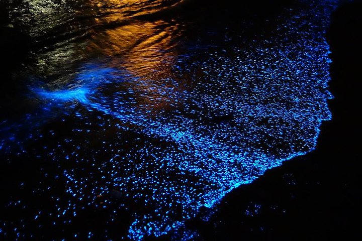 Florida Bioluminescentie Kajaktocht (Titusville)