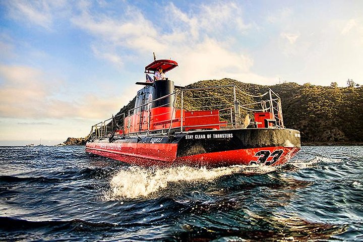 Spedizione sottomarina: tour dell'isola di Catalina