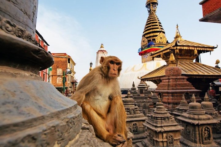 Kathmandu Sightseeing | UNESCO World Heritage sites Private/Group