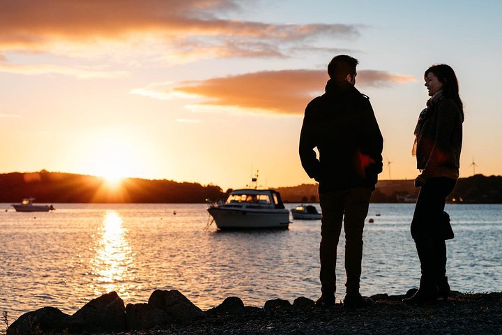 (Grupo Pequeno): Shore Tour de Cork: Castelo de Blarney e Destilaria Jameson