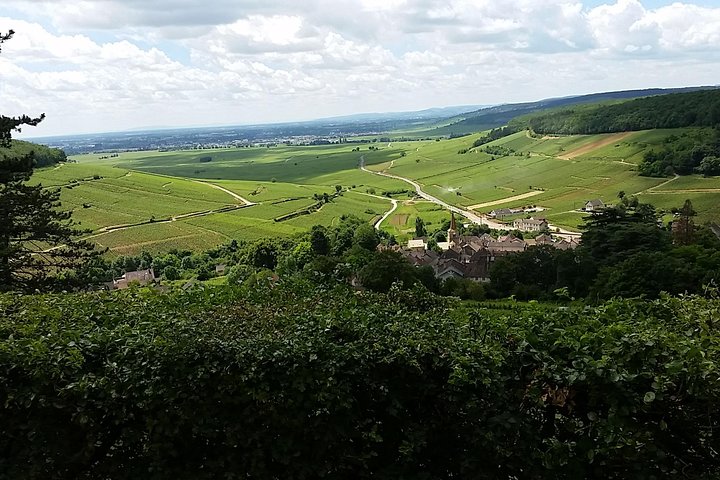 Tour privato di un giorno intero nella regione del vino della Borgogna da Beaune