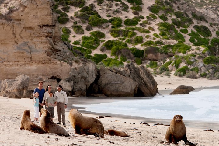 Restauranter i nærheden af Kangaroo Island Small-Group Scenic & Wildlife Day Tour