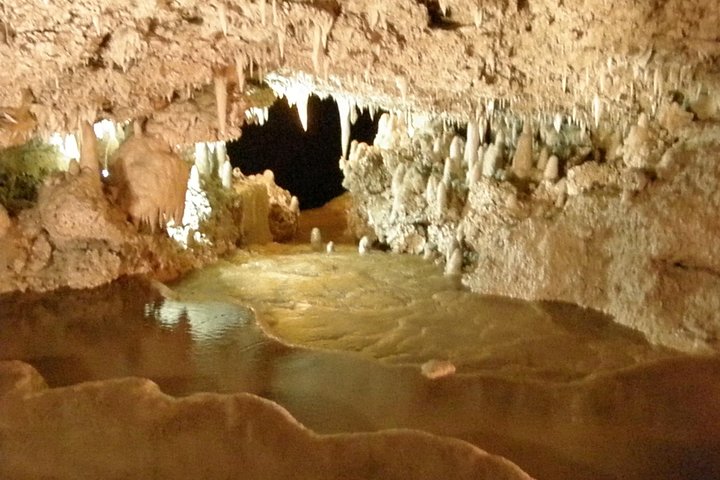 Insel Abenteuer Harrison's Cave Monkey Mittagessen inklusive
