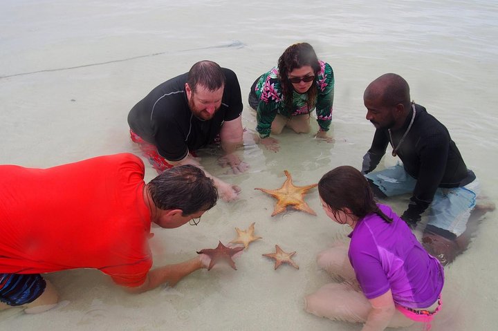 Starfish Point, Stingray City & Coral Garden (3-STOP Adventure)