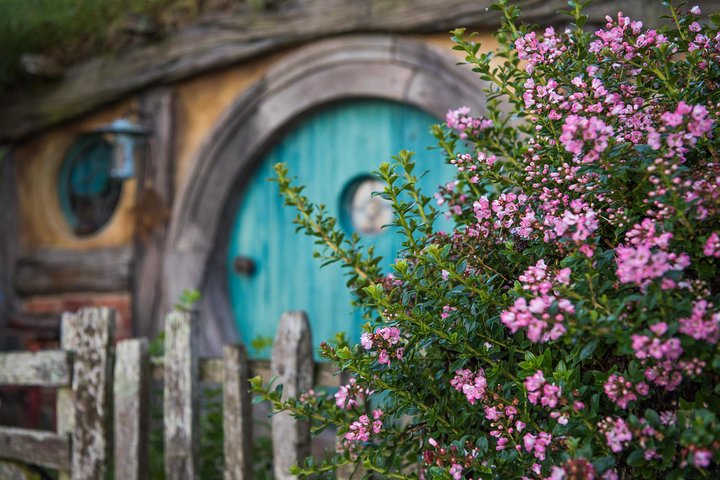 Hobbiton Movie Set & Waitomo Caves Pequeno grupo tour de Auckland