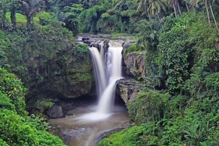 Ubud Private Tour Rice Terraces Temples Waterfalls.