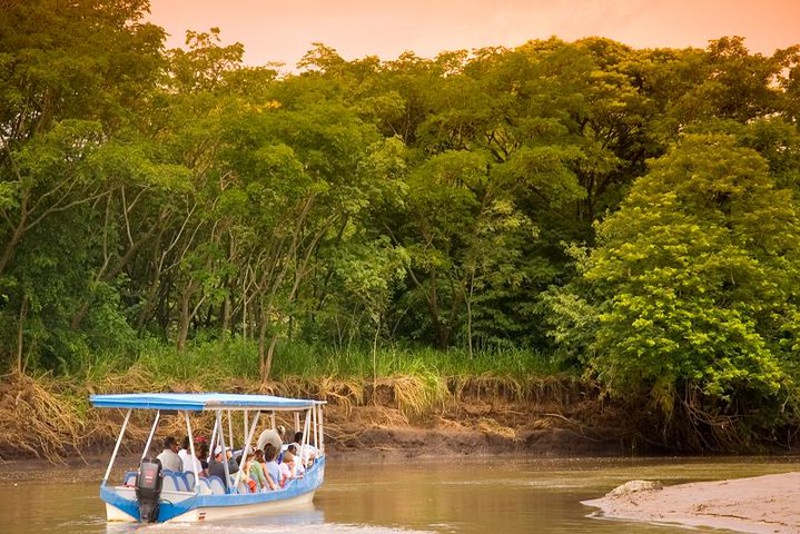 Safari en bateau à Palo Verde