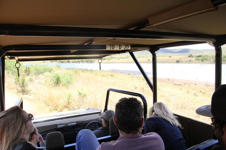 3 uur Pilanesberg middag Open voertuig safari op safari (zelf rijden)