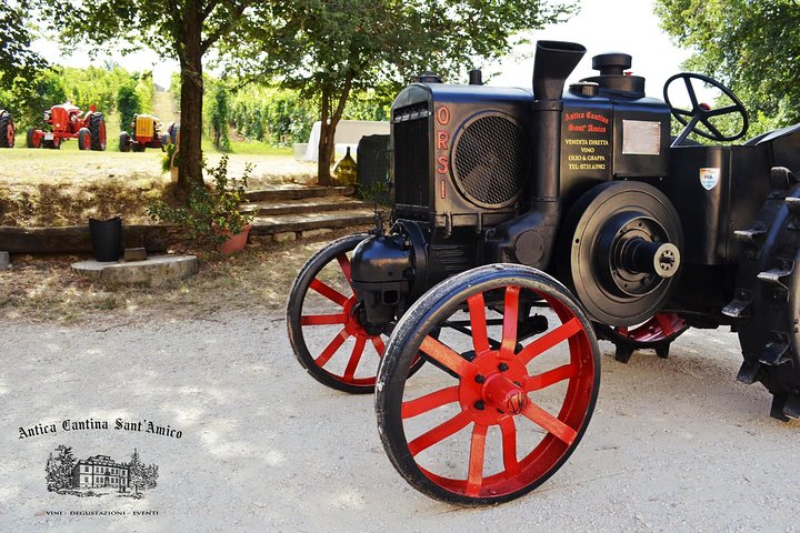 Visite de vignobles et dégustation au plus vieux domaine viticole du Marche