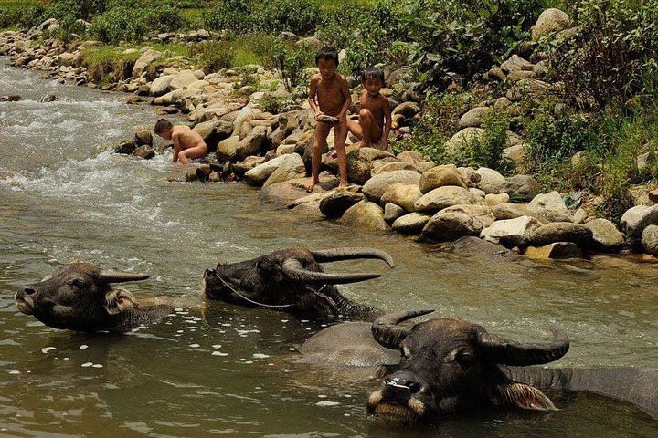 Sapa 2 Días 1 Noche Desde Hanoi - Pernocte en Ta Van Village