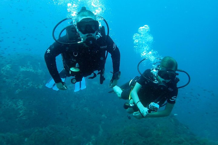 PADI Discover Scuba Diving en Koh Tao - medio día y dos inmersiones