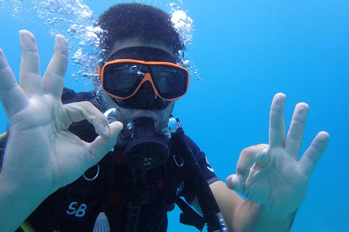 PADI Discover Scuba Diving en Koh Tao - medio día y dos inmersiones