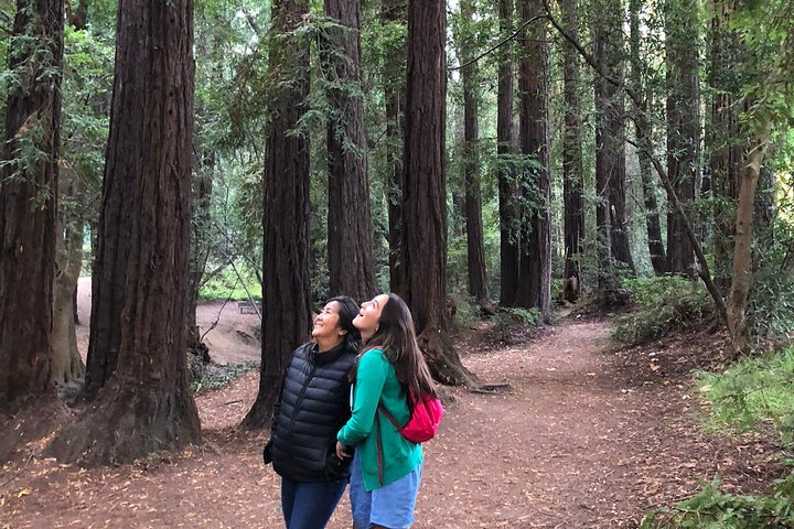 Redwoods of Marin und Mt. Tamalpais-Rundgang mit lokalem Guide