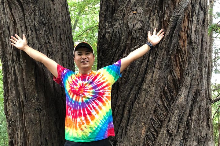 Redwoods of Marin und Mt. Tamalpais-Rundgang mit lokalem Guide